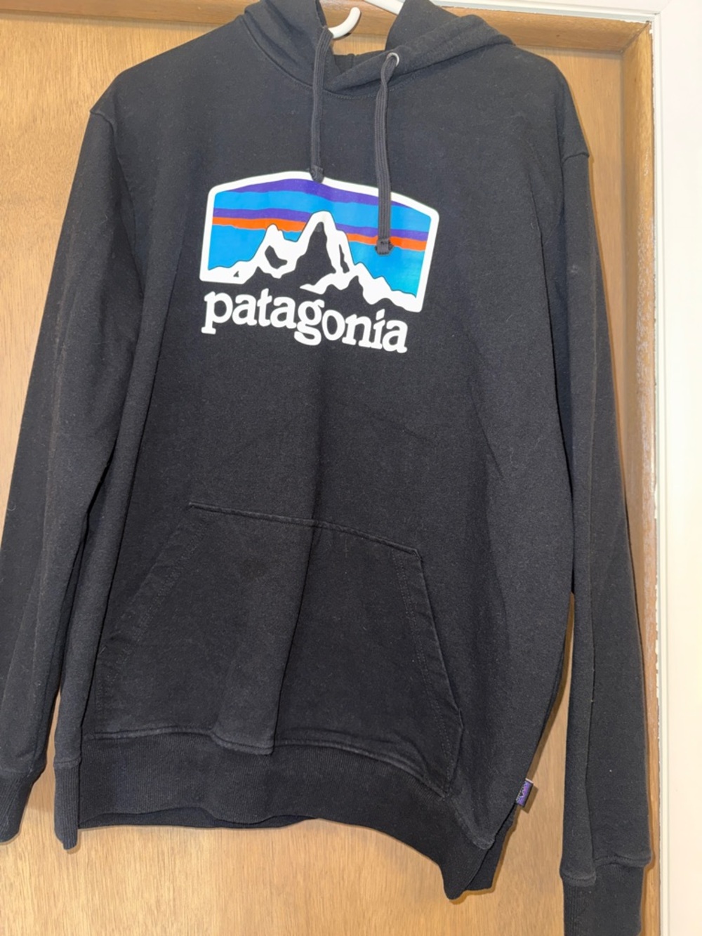 Patagonia Black Hoodie Mountain Logo Large